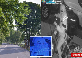 Central Park attempted rape reported: NYPD hunts suspect