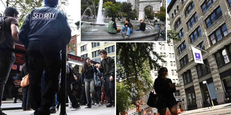 Dad hires bodyguard for NYU freshman daughter as crime surges on campus: 'It can get scary'