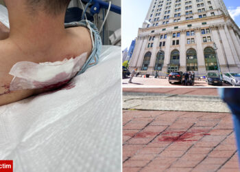 Ex-con with 15 prior arrests busted for random stabbing of teen in NYC where he smiled at blood soaked victim