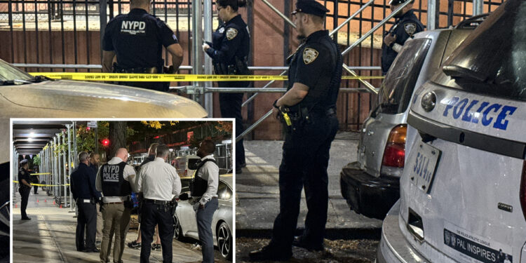 NYC girl, 15, has pelvis split by stray bullet from scooter-riding thugs: grandma