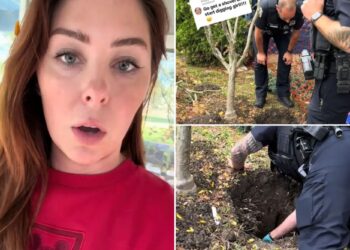 Ohio woman discovers rug buried in her yard — and the internet thinks it's a dead body as cops investigate