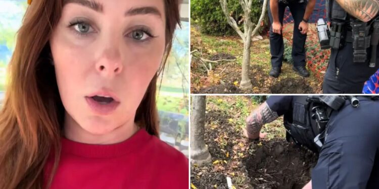 Ohio woman discovers rug buried in her yard — and the internet thinks it's a dead body as cops investigate