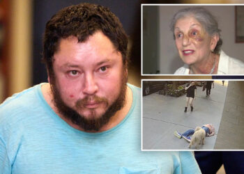 Sicko who randomly socked 81-year-old woman on NYC was out on bail for exposing himself: prosecutors