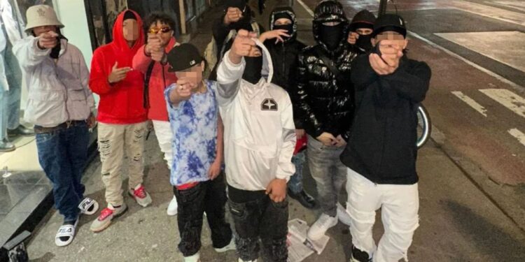 Times Square Tren de Aragua thugs enabled by perfect storm of pro-crime prog policies