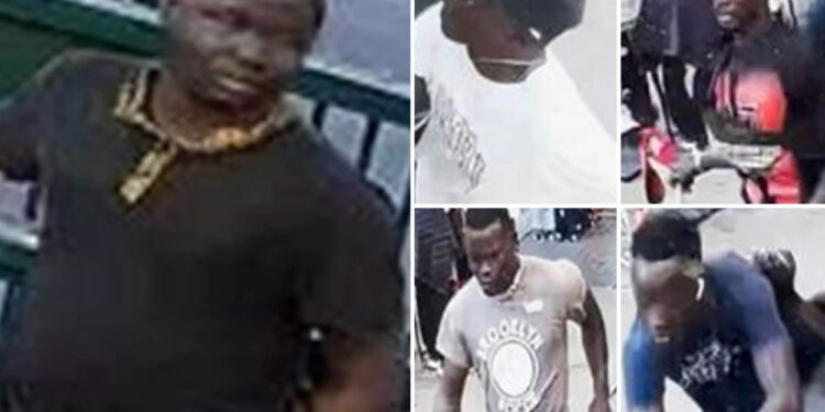 Vietnam vet, 79, and wife celebrating 75th birthday knocked down by 5 brutes in random NYC attack