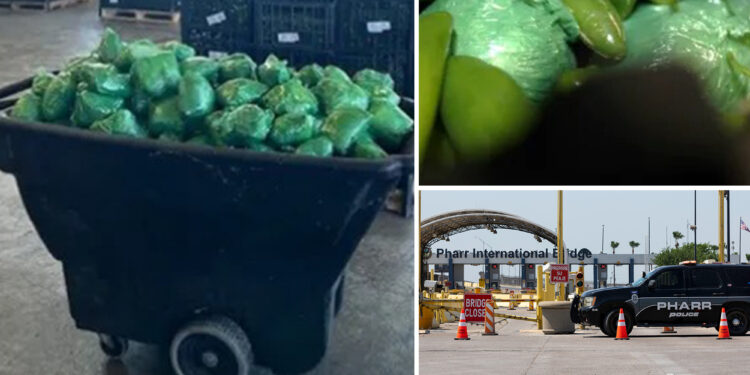 Border patrol seize more than $31M of meth hidden in shipment of peppers at Texas-Mexico border