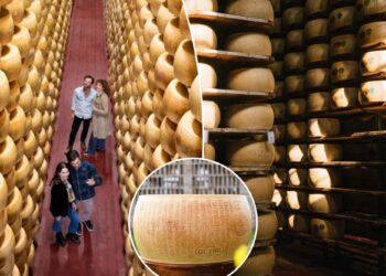 Cheesemakers try a sneaky method to battle Parmesan pirates: edible microchips