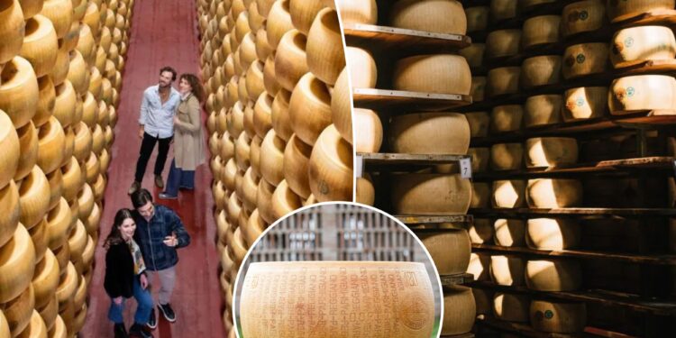 Cheesemakers try a sneaky method to battle Parmesan pirates: edible microchips