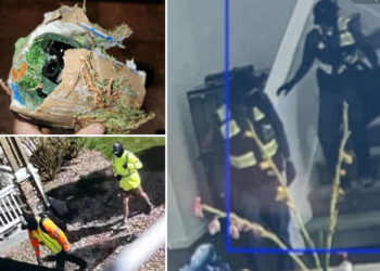 Colorado burglary ring targets Asian homes in theft 'epidemic'