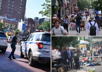 Crime down along long-troubled NYC block: City Hall