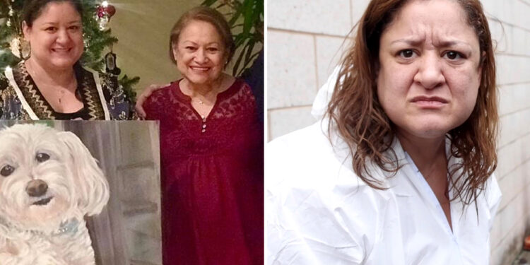 Daughter eerily claims 'I never had a mother' after allegedly stabbing 84-year-old mom to death in NY Thanksgiving Eve attack