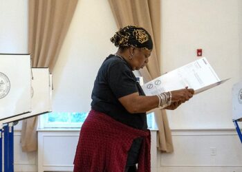 Election 2024: Voters to Decide on Abortion, Marijuana, Slavery, Sheriffs and More