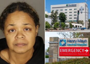 Fake nurse Amanda Leeann Porter worked at multiple hospitals while caring for some 60 patients across California for a month: cops