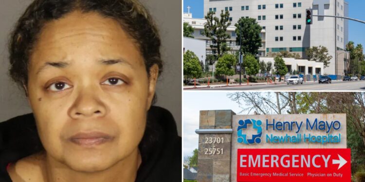 Fake nurse Amanda Leeann Porter worked at multiple hospitals while caring for some 60 patients across California for a month: cops