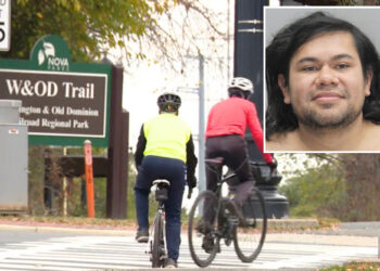 Illegal migrant arrested for Herndon, VA rape days after release