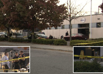 Knife-wielding goon in Halloween mask stabs man outside LI community wellness center: cops