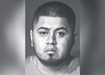 Mauricio David Sosa, 33, of Mexico, kicked one cop and punched another when they tried to bust him early Tuesday, cops and sources said.