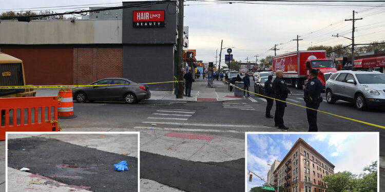 NYC boy stabbed in broad-daylight in latest disturbing case of youth violence