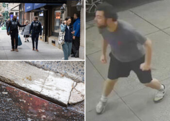 NYC maniac accused of slashing Danish tourist in broad daylight is busted after mom tells on him: sources