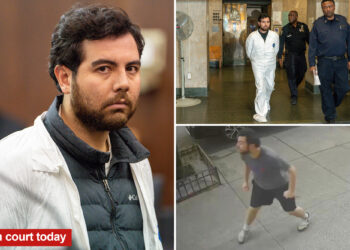 NYC suspect accused of slashing Danish tourist tries to escape handcuffs, rambles in court