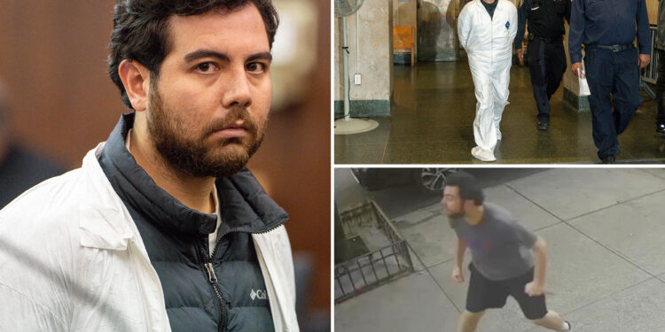 NYC suspect accused of slashing Danish tourist tries to escape handcuffs, rambles in court