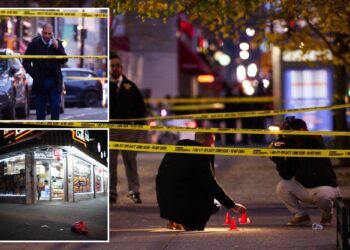 NYC teen, 15, in custody for allegedly fatally shooting man near Bronx courthouse