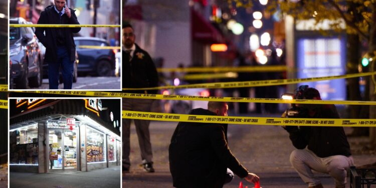 NYC teen, 15, in custody for allegedly fatally shooting man near Bronx courthouse