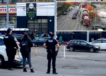 Seattle maniac arrested for randomly stabbing 9 people in 38 hours: