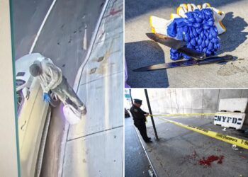 Suspected madman stabber has long criminal history -- and was released from NYC jail just one month before deadly spree