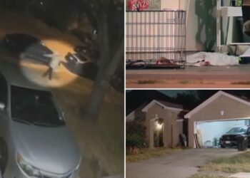 Texas dad murdered on Halloween by killer in Michael Myers mask