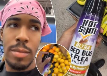 Arizona man Charles Smith arrested for spraying bug killer pesticide on food inside Walmart