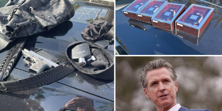 California busts 117 in organized shoplifting ring crackdown