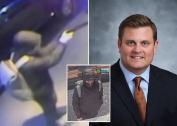 Former NYPD inspector 'skeptical' UnitedHealthcare CEO gunman was hitman