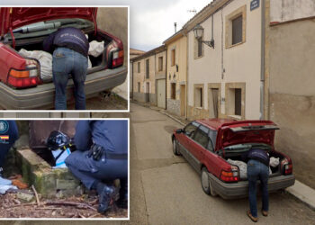 Google Street View catches murder suspect loading body into car: cops