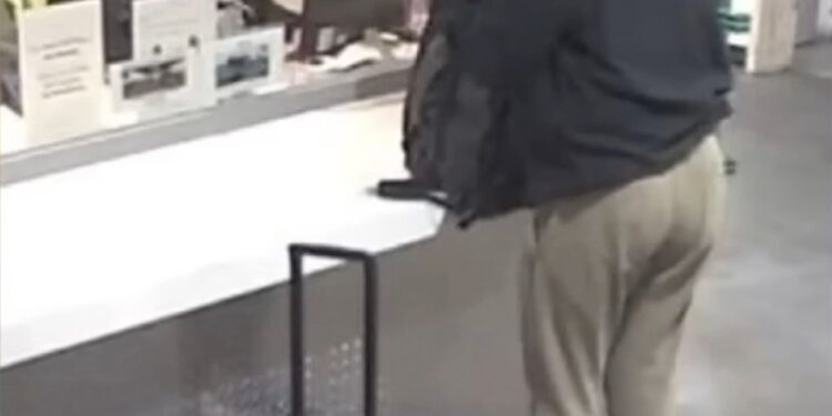 Surveillance footage shows Hannah Kobayashi buying a bus ticket at LA Union Station on Nov. 11.