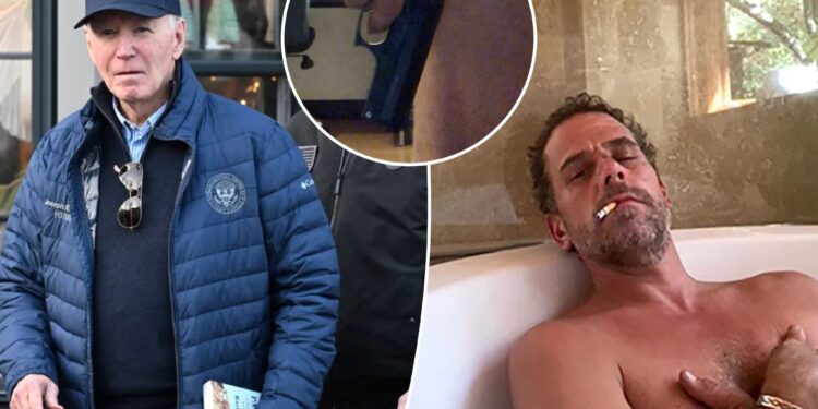 Hunter Biden special counsel fires back at president’s claim that the first son was ‘selectively and unfairly prosecuted’ 