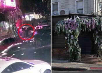 Innocent NYC restaurant worker left brain-dead after disgruntled patron opens fire in caught-on-video drive-by