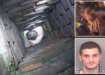Massachusetts man Robert Langlias gets caught in chimney while trying to evade police