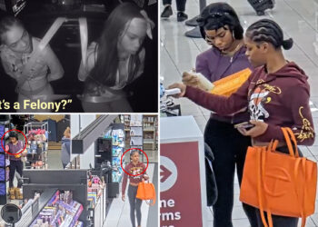 Police video shows busted thieves baffled by new shoplifting laws in California