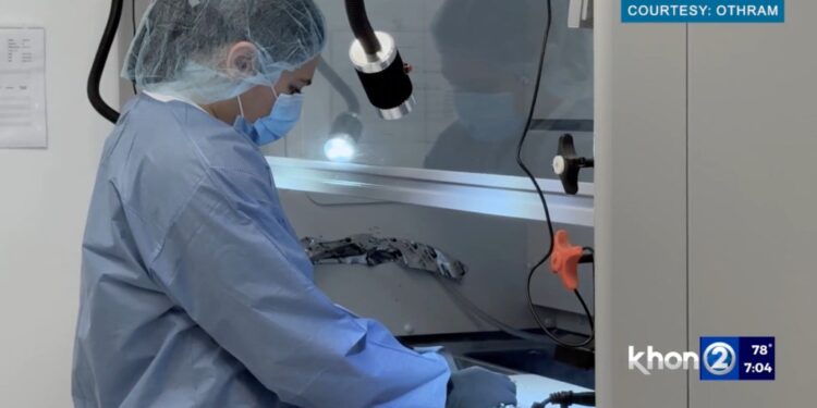 DNA evidence identifies victim in HPD cold case