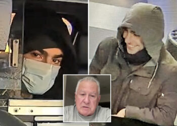 Retired NYPD Lt. says person of interest is 'fascinated' by attention