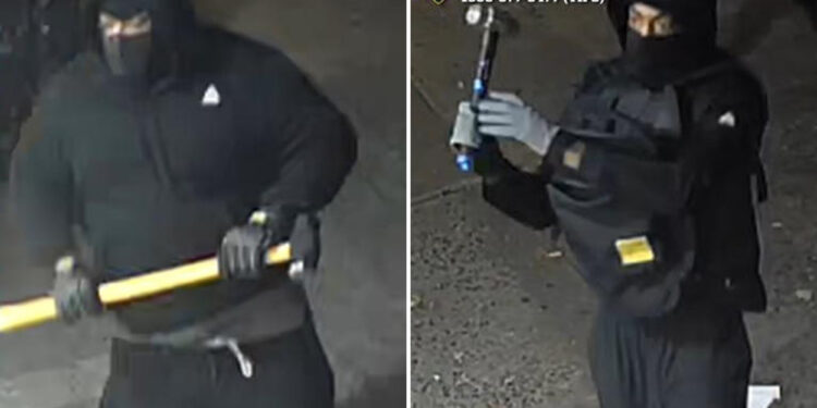 Sledgehammer-wielding bandits smash into NYC jewelry store and snatch $800,000 worth of necklaces in daring heist
