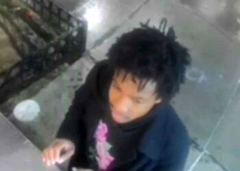 The predator pummeled the 26-year-old victim before raping her early Wednesday in Parkchester, cops said.