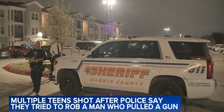 A 25-year-old man shot three boys who tried to rob him, cops said.