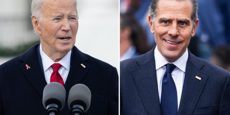 Top Dem donors furious over Hunter Biden pardon, threaten to withhold funds for Joe's future presidential library: report