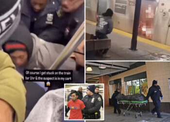 Video shows moment cops swarm train to arrest migrant accused of setting subway rider on fire