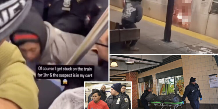 Video shows moment cops swarm train to arrest migrant accused of setting subway rider on fire