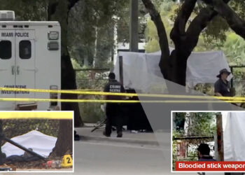 2 homeless people beaten to death in ‘unprovoked’ attack in Miami