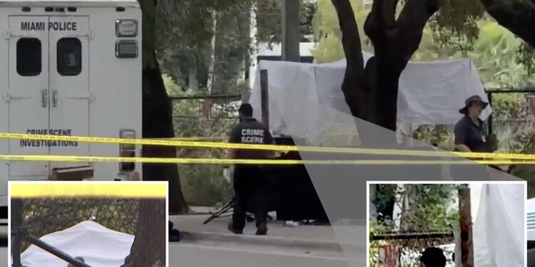 2 homeless people beaten to death in ‘unprovoked’ attack in Miami