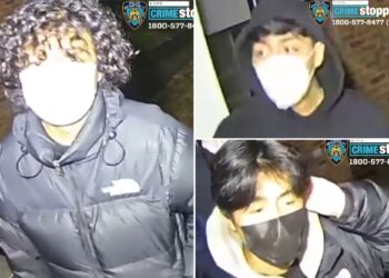 Brazen baby-faced burglary crew hits 2 NYC homes — beating one man with a hammer: cops